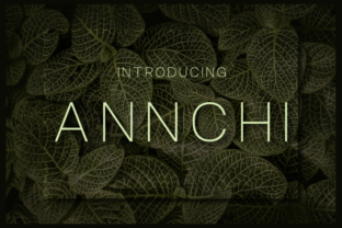 Annchi Typeface Review for Modern Campaigns