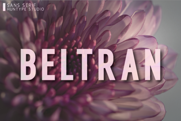 Beltran: A Designer’s Honest Review for Real Branding