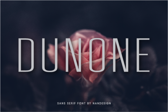 Dunone: A Designer’s Honest Review for Branding