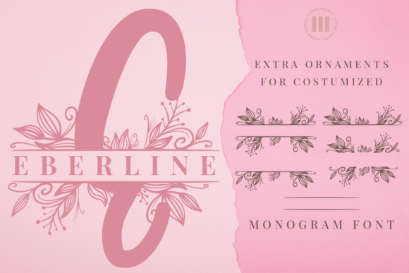 Eberline Monogram: A Review for Campaign Designers