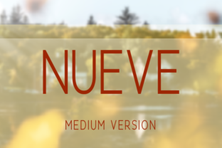Nueve Medium: A Clean Typeface for Polished Brands