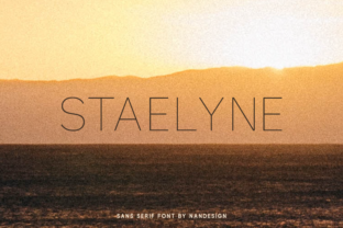 Staelyne: A Versatile Sans Serif Font for Makers