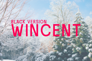 Wincent Black: A Bold Sans Serif Typeface for Modern Brands