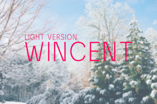 Wincent Light Typeface Review for Branding