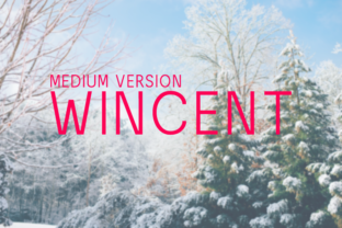 Wincent Medium: A Friendly Sans Serif Typeface