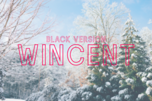 Wincent Outline Extra Black Typeface
